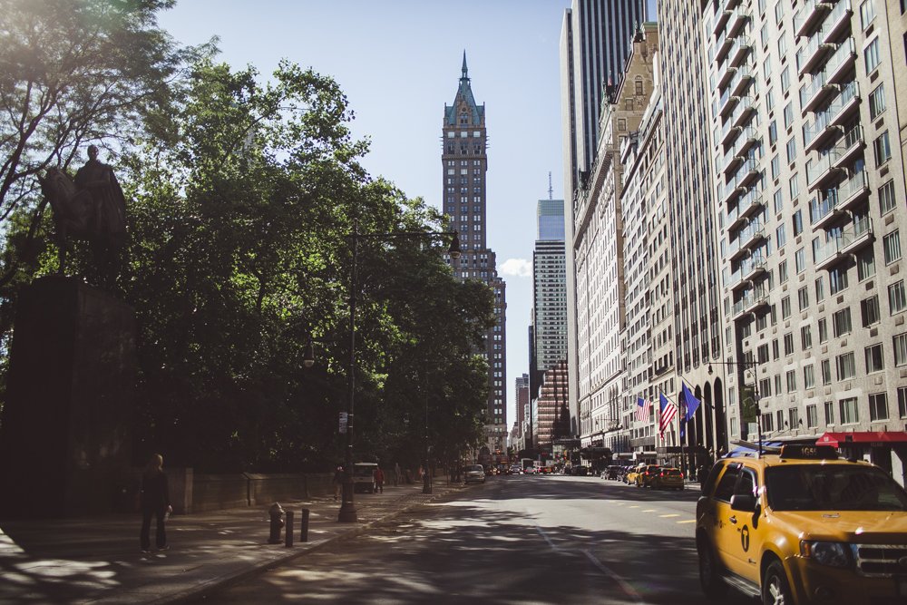 🛍️ 중앙공원 거리 (센트럴 파크 애비뉴) 이미지 5